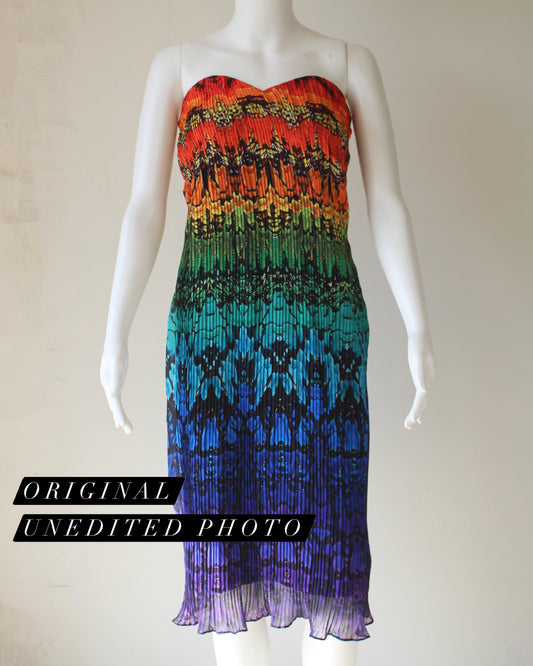 Scarlet Macaw Tube Dress