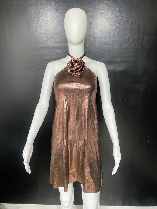 CLEARANCE - Champagne Metal Rose Dress