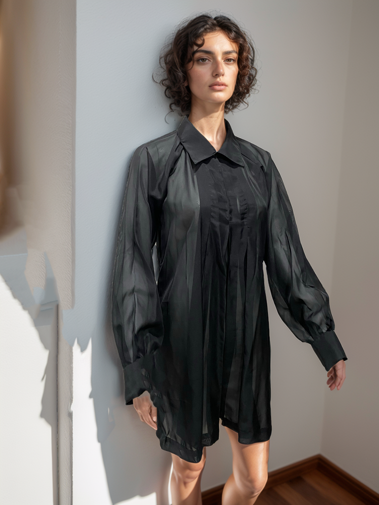 Black Sheer Shirt Dress